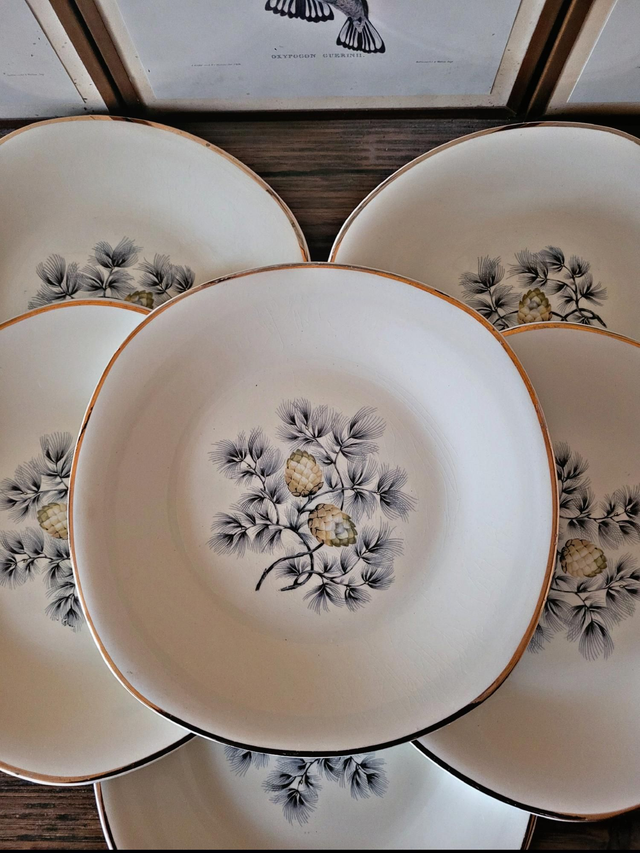 Assiettes plates Ceranord Saint Amand Dax, pommes de pin (par 6) 