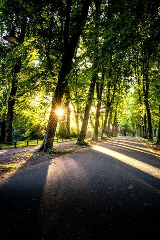 Promenade mit Sonnenstern