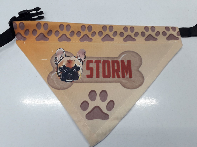 Dog Bandana