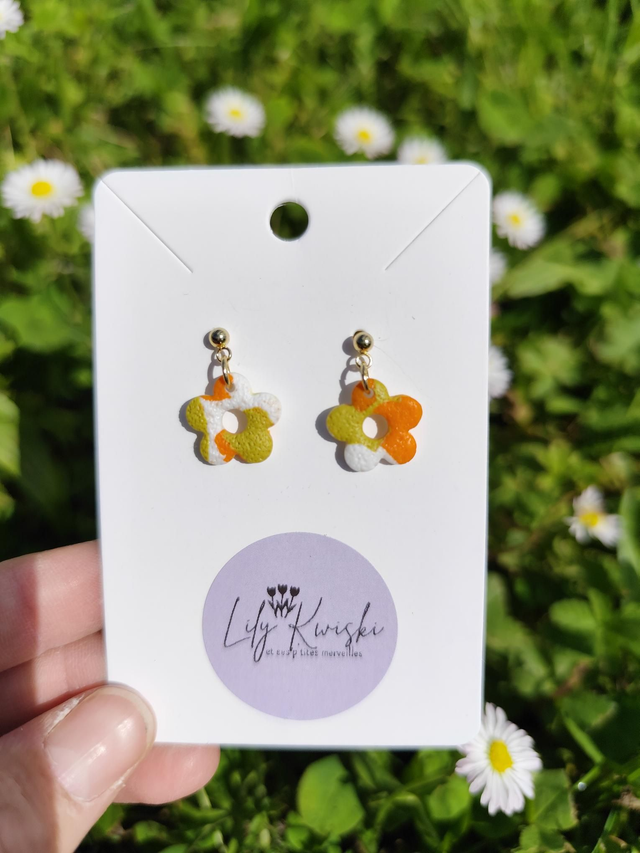 Boucles d'oreilles 