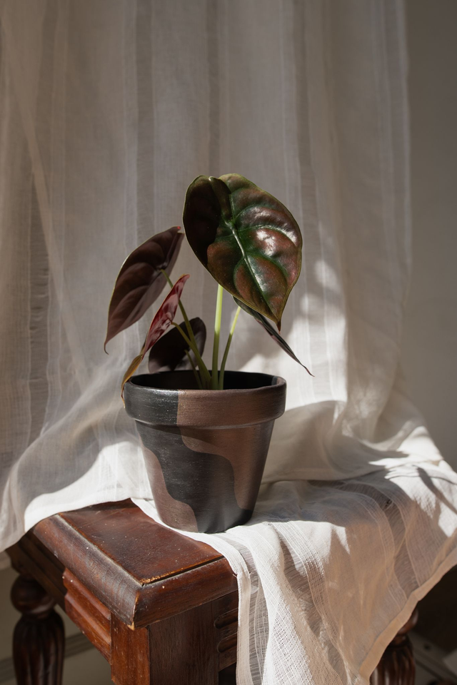 Shadow Spark 🔮 Pot peint à la main