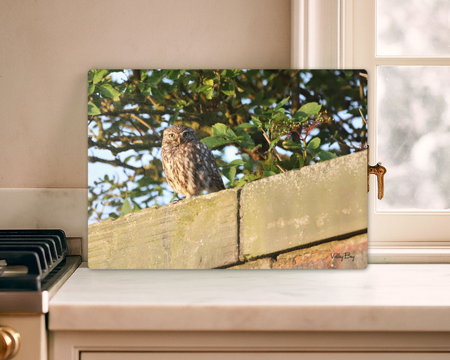 "Little Owl" Glass Worktop Saver  