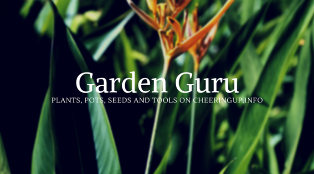 Garden Guru Magazine 