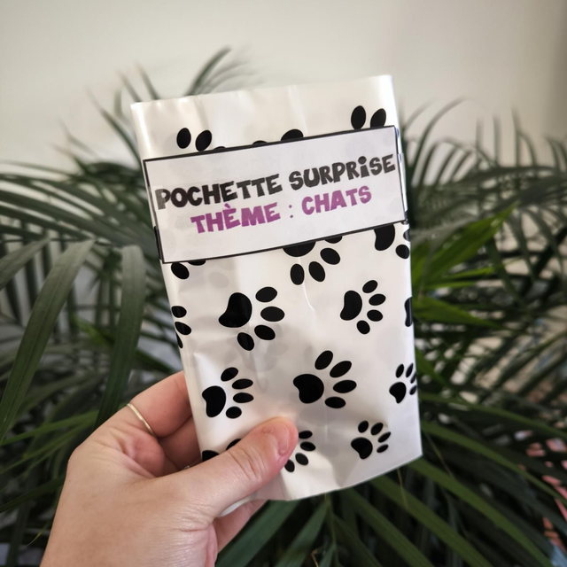 Pochette surprise - Chats