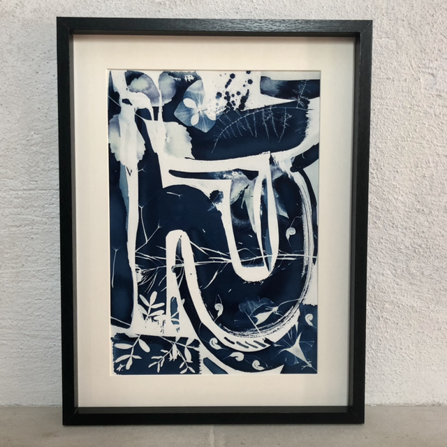 Cyanotype - « Laisse »