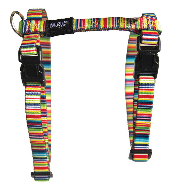  Harnais et Laisse Fantaisie Arc En Ciel pour chat Doogy
