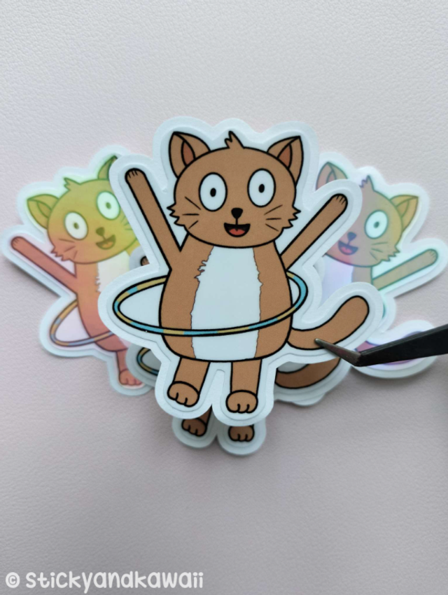 Zéphyr le chat holahoop