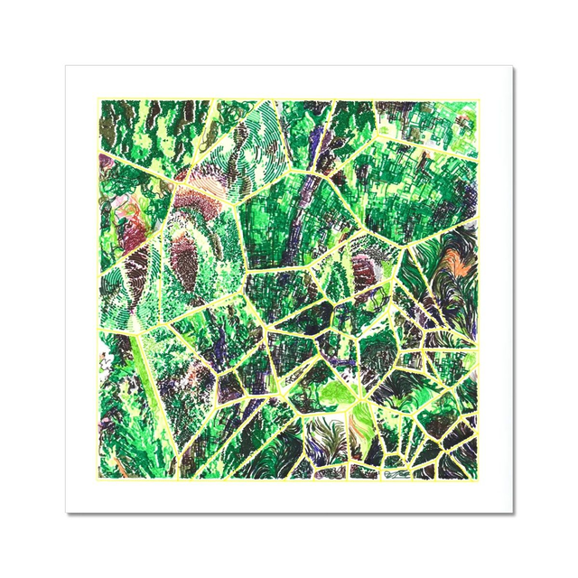 Fly Trap - 30 x 30 Giclée Print