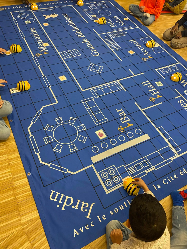 Tapis robotique 2mx3m - grande bibliothèque