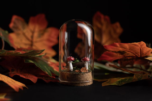 Collection Automne 2025 - sous bois 