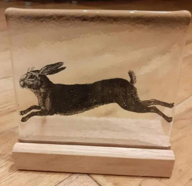 Running hare in Oak stand