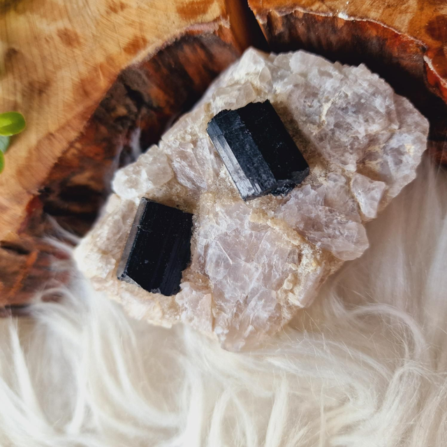 Black Tourmaline in Quartz 316g