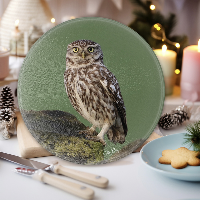 “Little Owl” Round Worktop Saver 