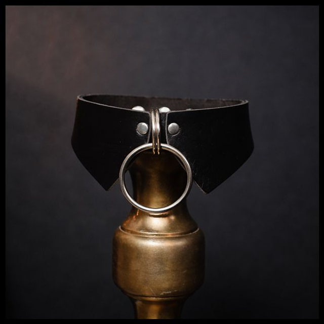 Collier Souveraine, Accessoire issu de mon dressing 