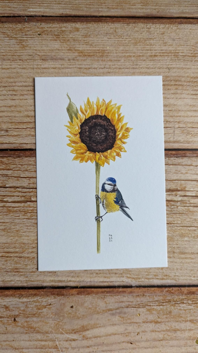 Mésange sur Tournesol carte