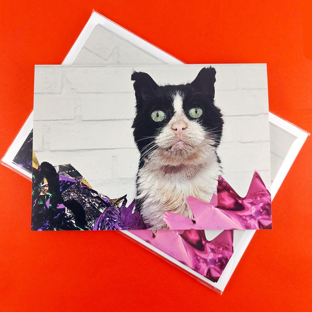 Christmas cards "Felix" 2 x packs of 5 cards