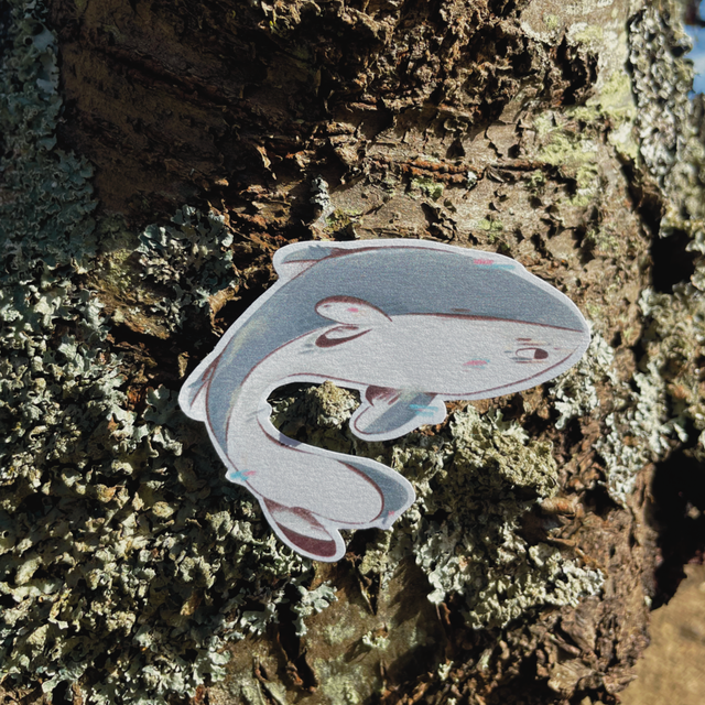 Sticker &quot;Requin&quot;