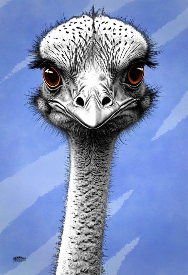 Tableau Autruche Noir &amp; Blanc 🦢 | Art Animalier Moderne – Décoration Murale Épurée 🖤