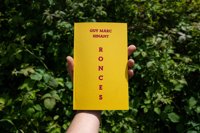 Guy March Hinant, Ronces