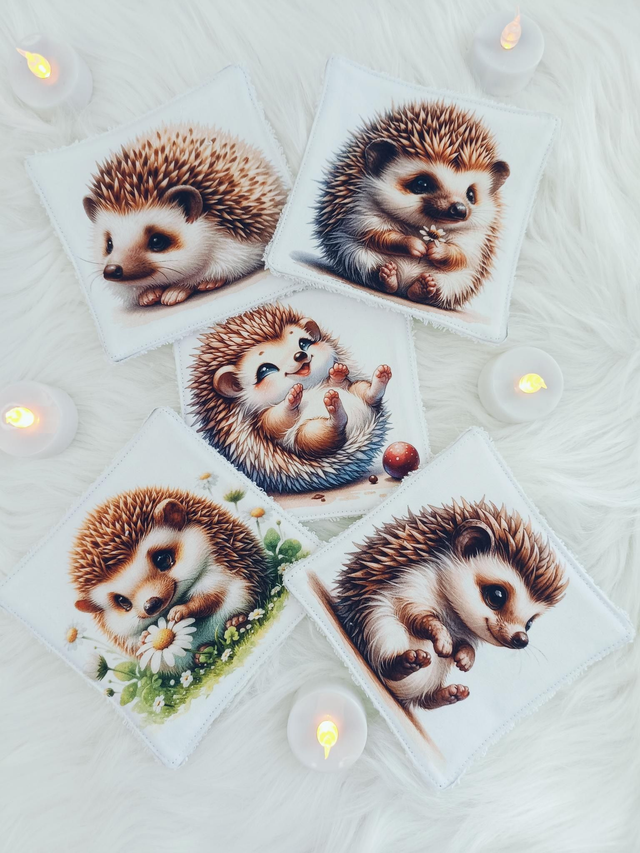 Lingette Lavable Hérisson