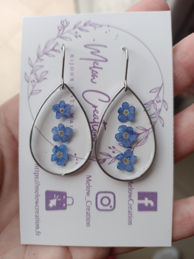 Modèle unique - Fleurs séchées Myosotis 