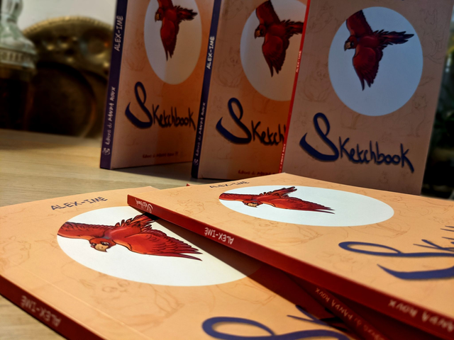 Sketchbook, version cartonnée