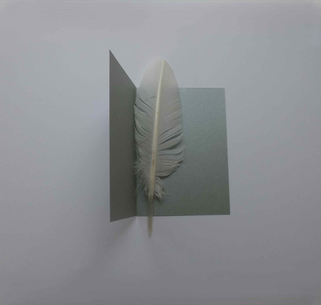 Le renne du père noël