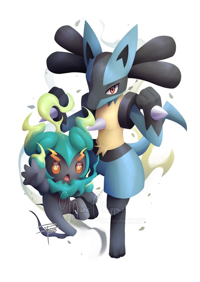 Lucario &amp; Marshadow