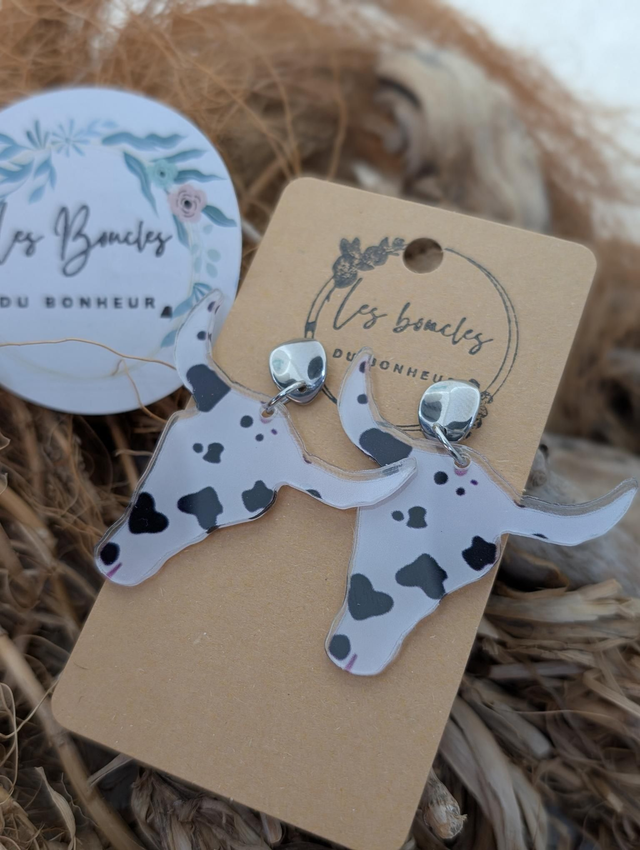 Boucles d&#039;oreilles Country fantaisie try007