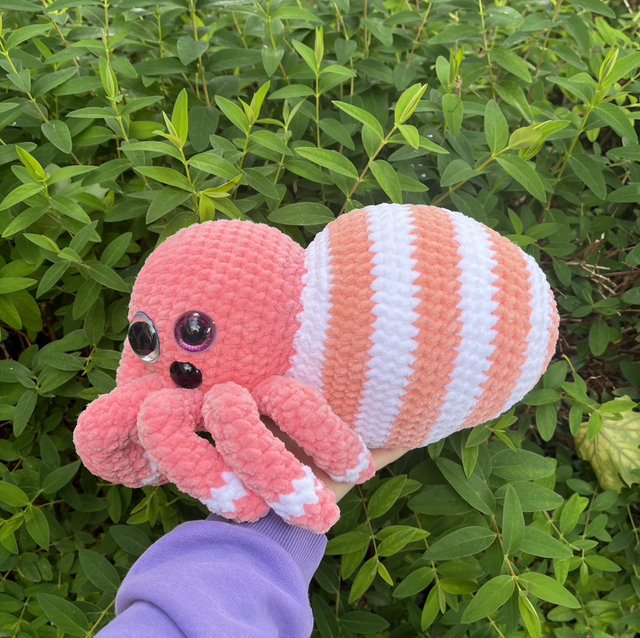 Araignée et ses bébés