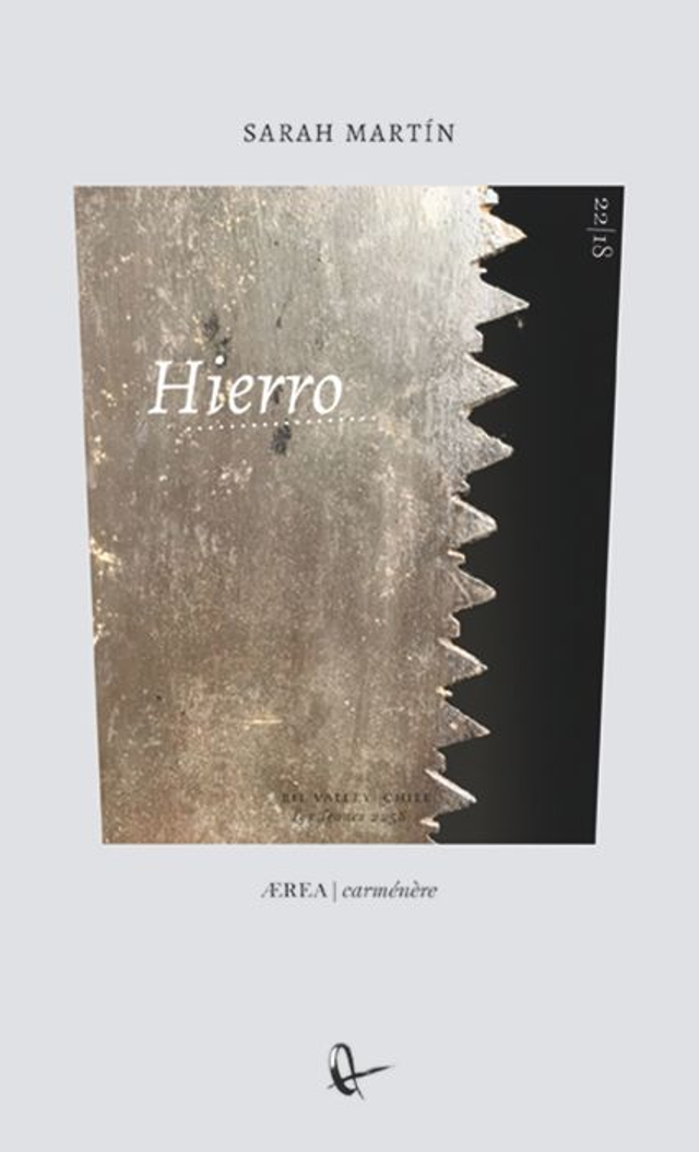 Hierro - Sarah Martín