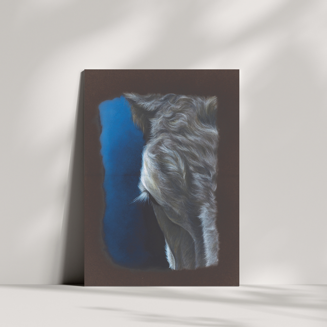 Carte de vœux - Vache N°1