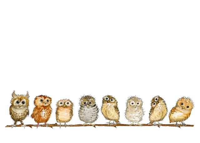 Notecards Owlets NC01