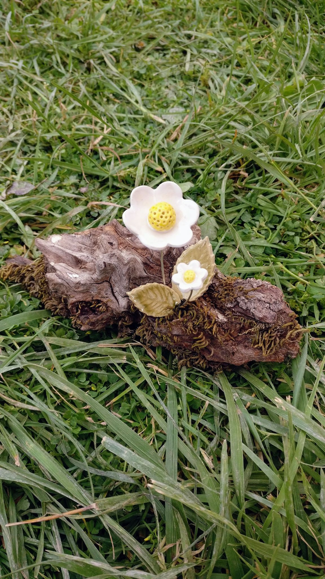 Composition florale blanc jaune