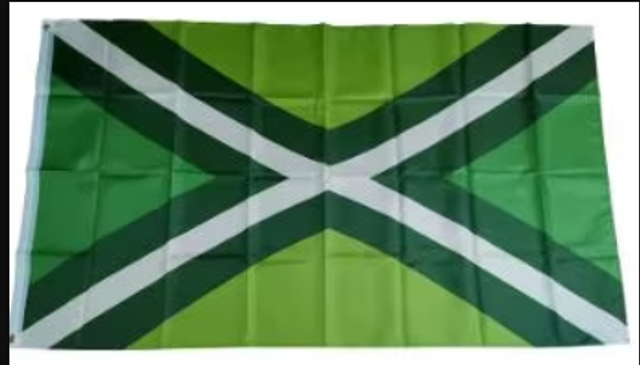 Grote vlag Achterhoek (150x90cm)