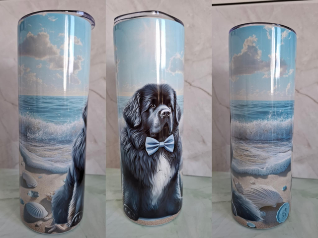 Gourde Canette plage terre neuve