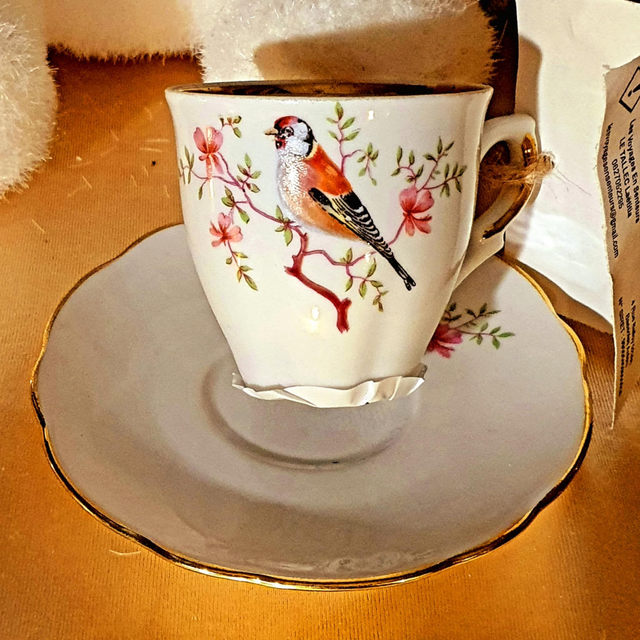 Bougie Tasse Agrumes