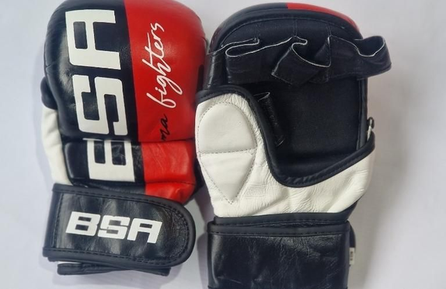 MMA Gloves
