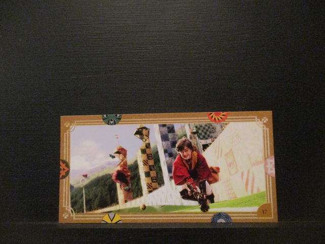 Harry Potter Original Trading Card #17