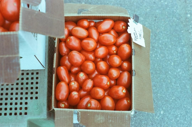 Plum Tomato Box