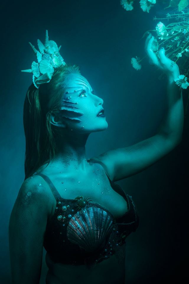 Tirage photo "Under the Sea"