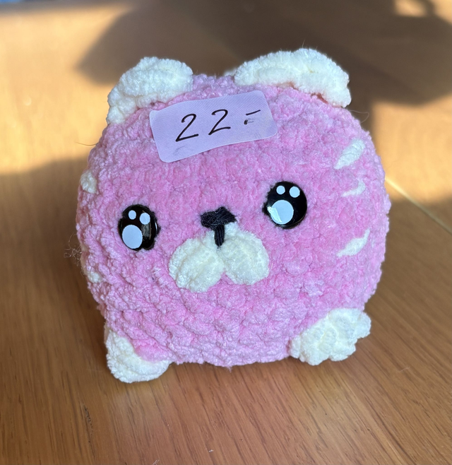 Petit chat spéciale