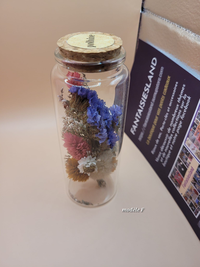 Tube de Fleurs séchées modF -  marque POLHINE  