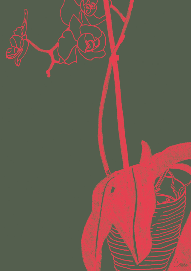 Kunstdruck A4 - Orchidee