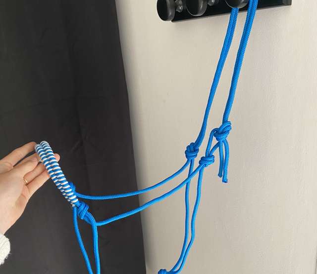 Licols éthologiques 