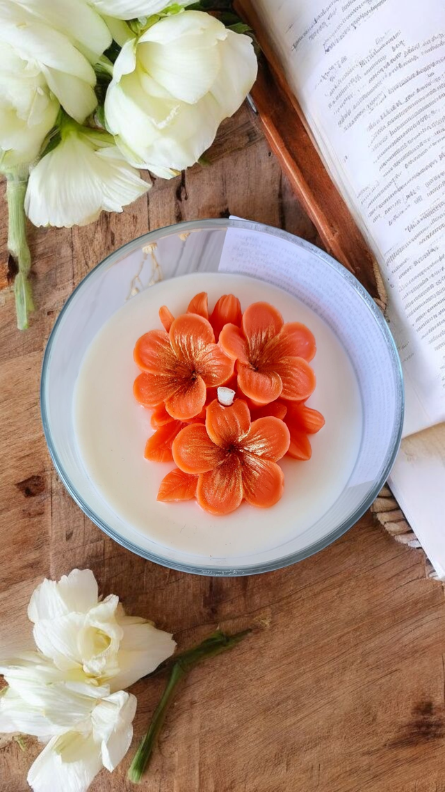 Compose ton jardin Orange – Parfum Hibiscus ☀️🧡