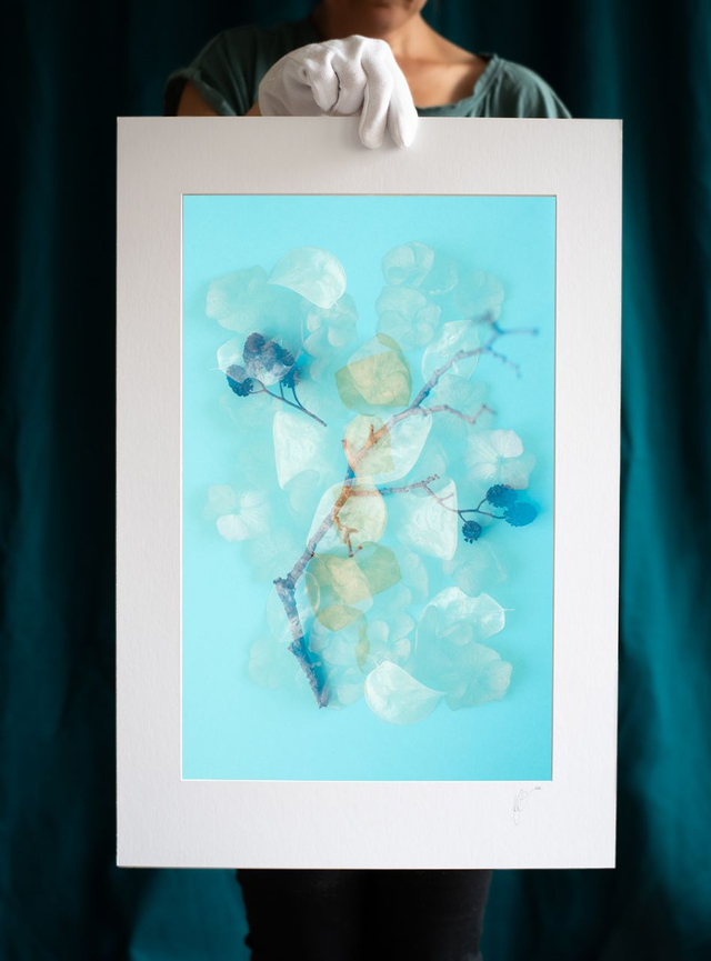 Fleurs éternelles - 1