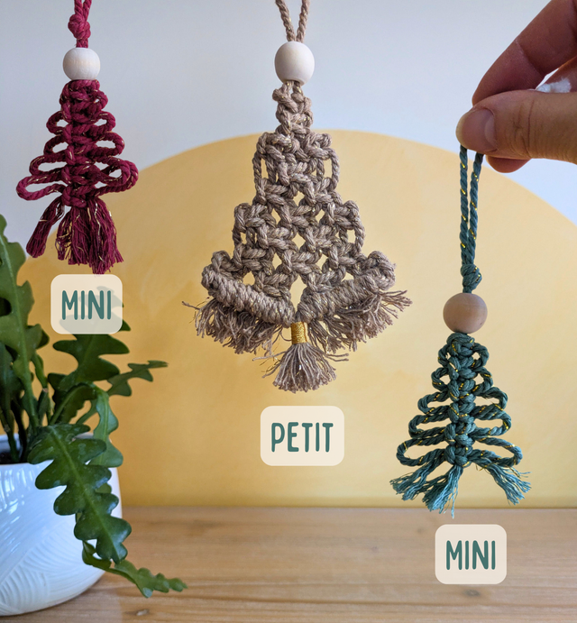 Féérie du Mini et Petit Sapin