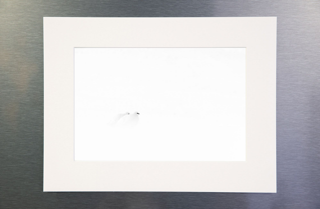 Photo &quot;Fjällripa&quot; avec passe-partout