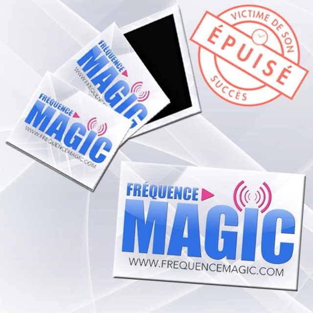 MAGNET RECTANGULAIRE